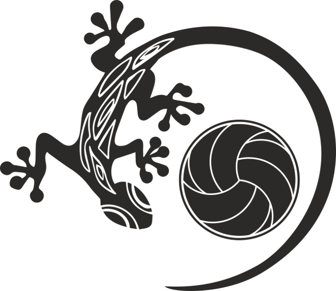 Volejbola klubs ĶIRZAKA